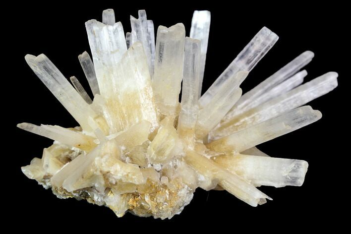 Orange Selenite Crystal Cluster - Italy #92505